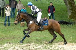 marbach-2012_cic3-030-jpg