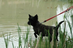 marbach-2012_cic3-043-jpg