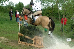 marbach-2012_cic3-048-jpg