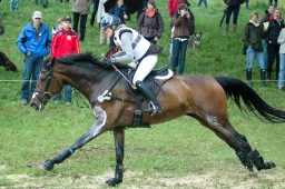marbach-2012_cic3-052-jpg