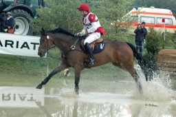 marbach-2012_cic3-056-jpg