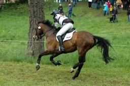 marbach-2012_cic3-072-jpg