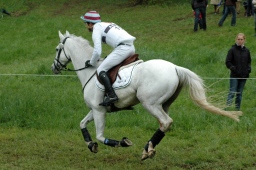 marbach-2012_cic3-079-jpg