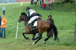 marbach-2012_cic3-098-jpg
