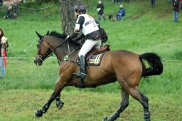 marbach-2012_cic3-102-jpg
