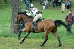 marbach-2012_cic3-106-jpg