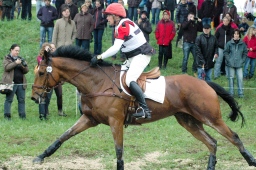 marbach-2012_cic3-115-jpg