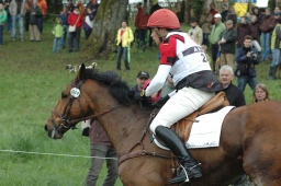 marbach-2012_cic3-116-jpg