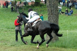 marbach-2012_cic3-126-jpg