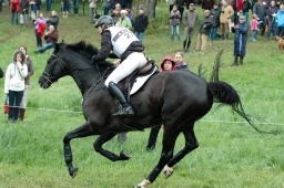 marbach-2012_cic3-133-jpg