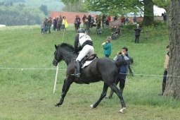 marbach-2012_cic3-134-jpg