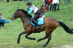 marbach-2012_cic3-138-jpg