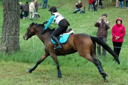 marbach-2012_cic3-139-jpg
