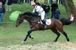 marbach-2012_cic3-151-jpg