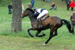 marbach-2012_cic3-157-jpg