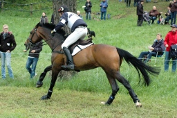 marbach-2012_cic3-165-jpg