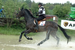 marbach-2012_cic3-172-jpg