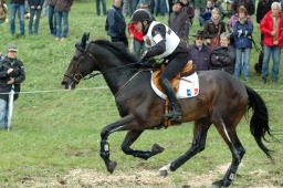 marbach-2012_cic3-173-jpg