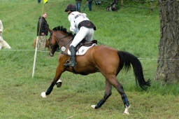 marbach-2012_cic3-178-jpg