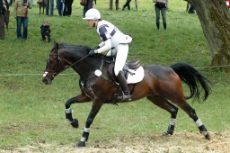 marbach-2012_cic3-182-jpg