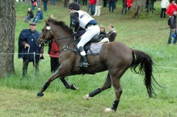 marbach-2012_cic3-188-jpg