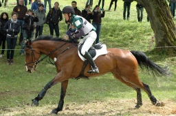 marbach-2012_cic3-193-jpg
