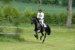 marbach-2012_cic3-196-jpg