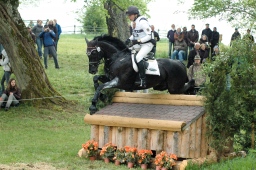 marbach-2012_cic3-198-jpg