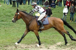 marbach-2012_cic3-203-jpg