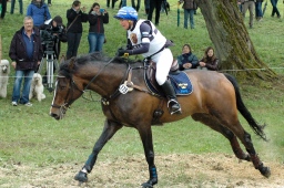 marbach-2012_cic3-206-jpg