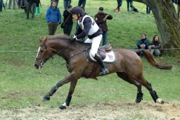 marbach-2012_cic3-212-jpg