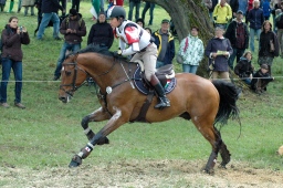 marbach-2012_cic3-222-jpg