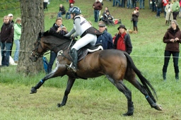 marbach-2012_cic3-227-jpg
