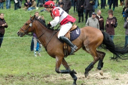 marbach-2012_cic3-233-jpg