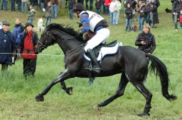 marbach-2012_cic3-239-jpg