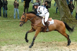 marbach-2012_cic3-244-jpg