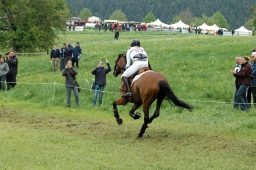 marbach-2012_cic3-246-jpg