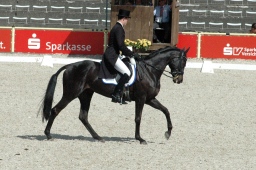 marbach-2012_freitag-011-jpg