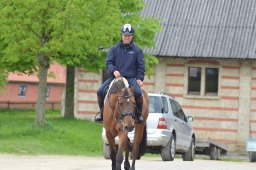 marbach-2013_freitag-038-jpg