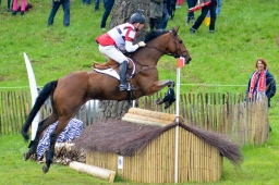 marbach-2013_cic3-072-jpg