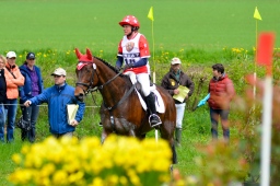 marbach-2013_cic3-123-jpg