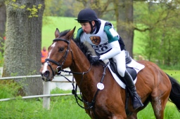 marbach-2013_cic3-222-jpg