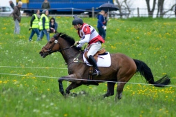 marbach-2013_cic3-235-jpg