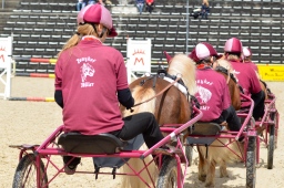 marbach-2013_sonntag-016-jpg