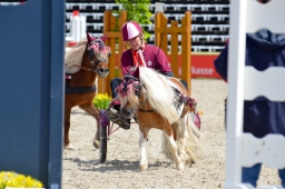marbach-2013_sonntag-018-jpg