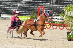 marbach-2013_sonntag-020-jpg