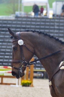 marbach-2013_sonntag-111-jpg