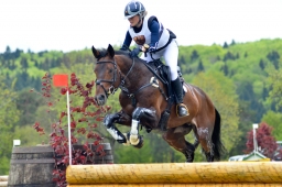 marbach-2015_cic3-gelaende-008-jpg