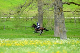 marbach-2015_cic3-gelaende-010-jpg