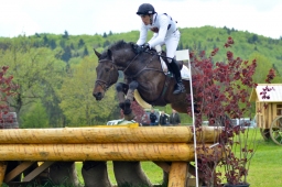 marbach-2015_cic3-gelaende-013-jpg